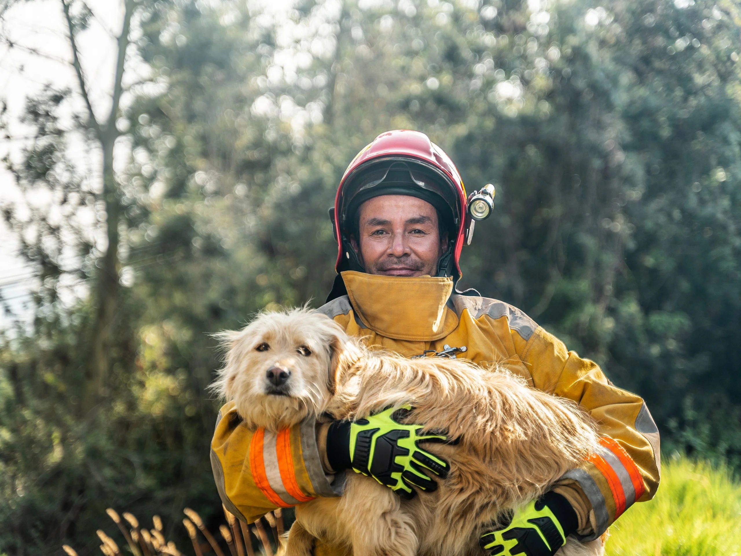 Retrato de un bombero maduro sosteniendo un perro rescatado al aire libre