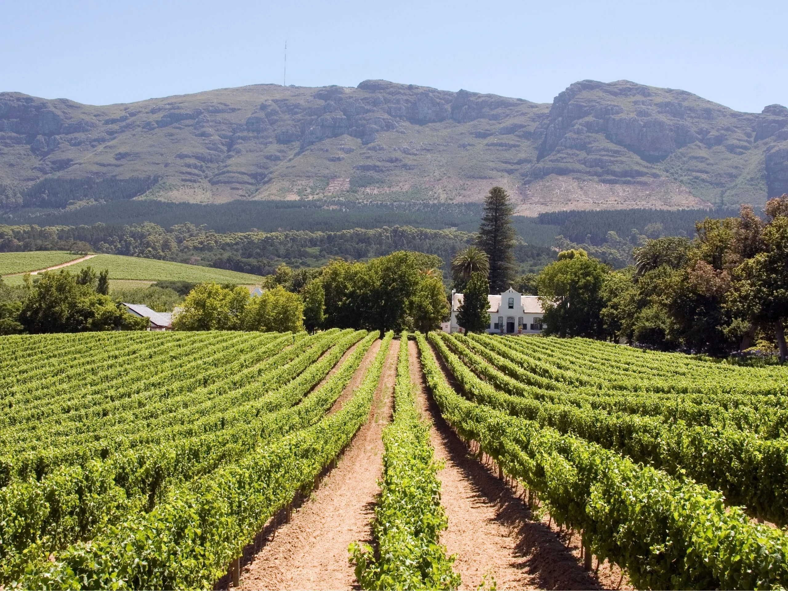 Stellenbosch y las rutas del vino, Sudáfrica