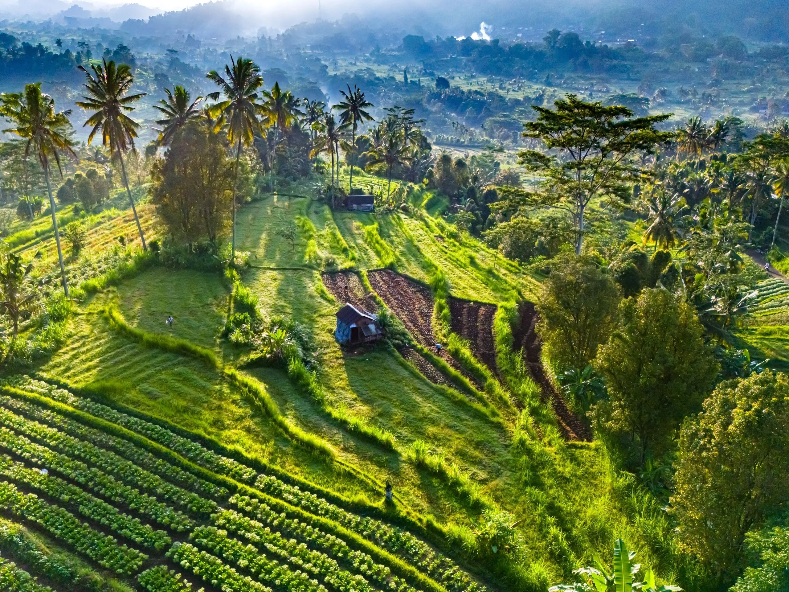 Valle de Sidemen, Bali