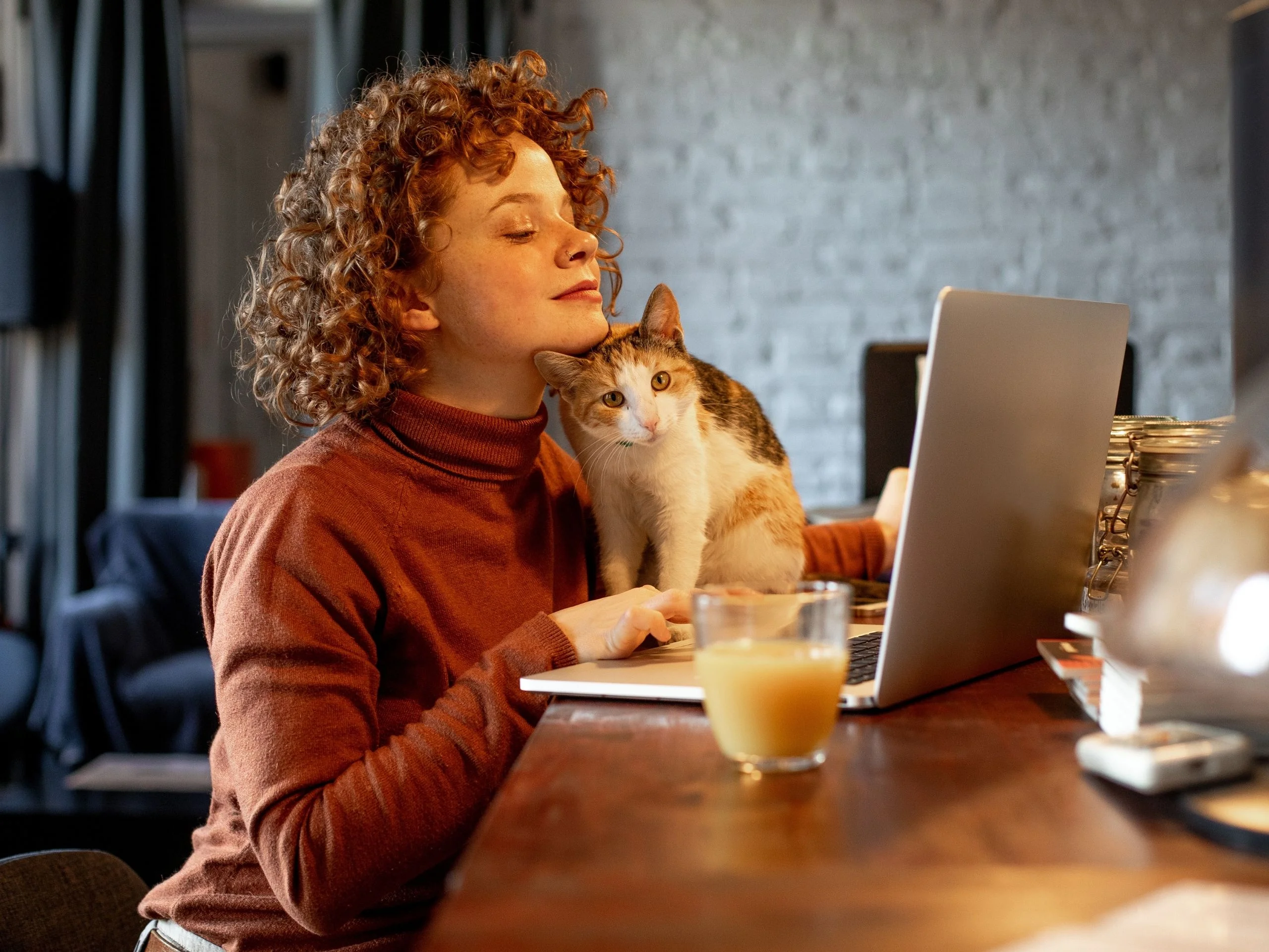 Mujer con portátil y gato interrumpiendo su trabajo