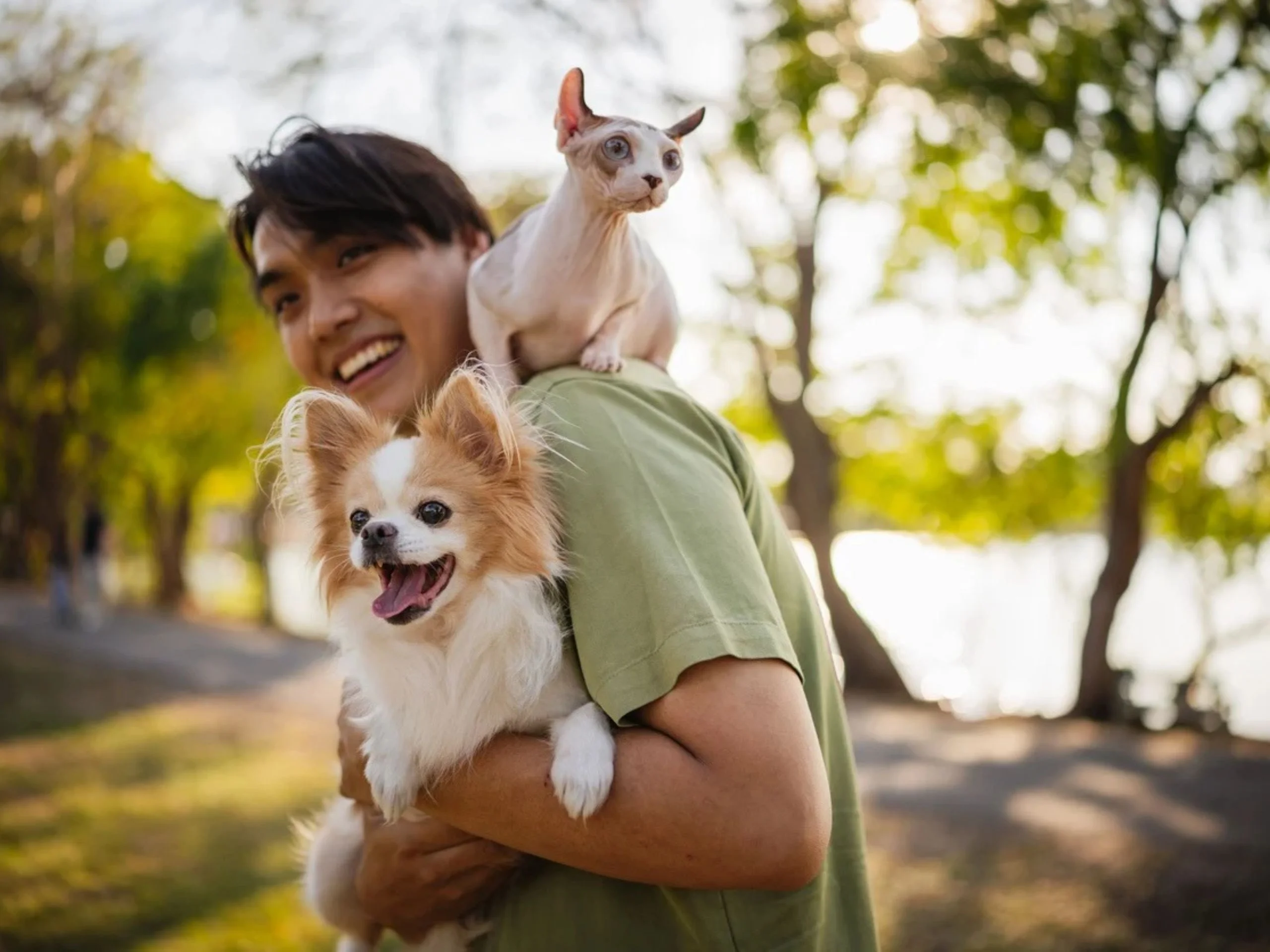 Hombre en exterior con gato y perro
