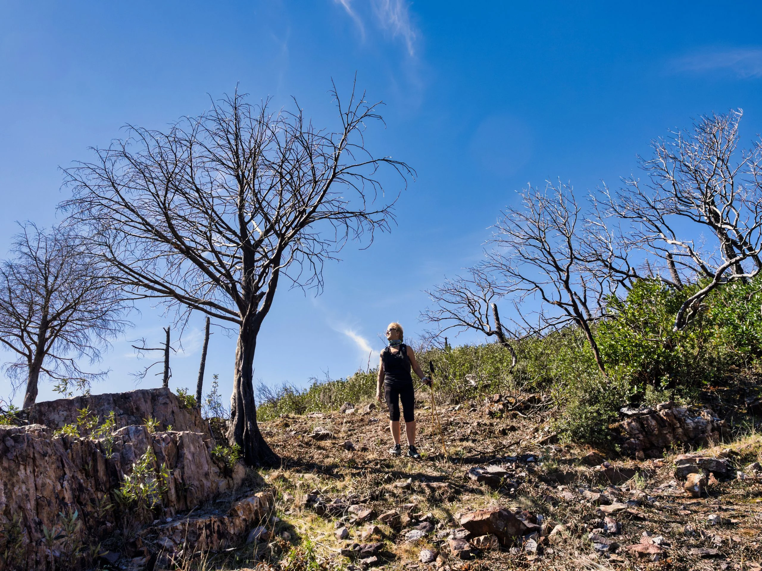 Mujer en mitad de bosque calcinado por incendio forestal