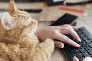 ARAG Protecció Digital 