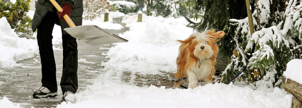 ¿Pueden sancionarme por faltar o llegar tarde al trabajo por la nieve?