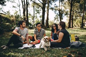 Obligaciones legales del dueño de una mascota