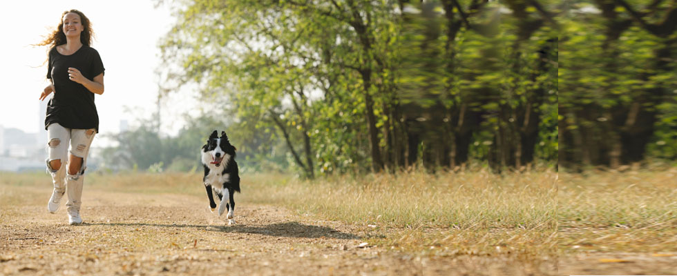 ARAG Cómo actuar ante la pérdida o robo de tu mascota