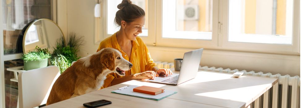 ¿Está permitido dejar a un animal solo en casa en vacaciones?