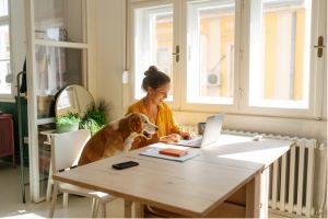 Bild: ¿Está permitido dejar a un animal solo en casa en vacaciones?