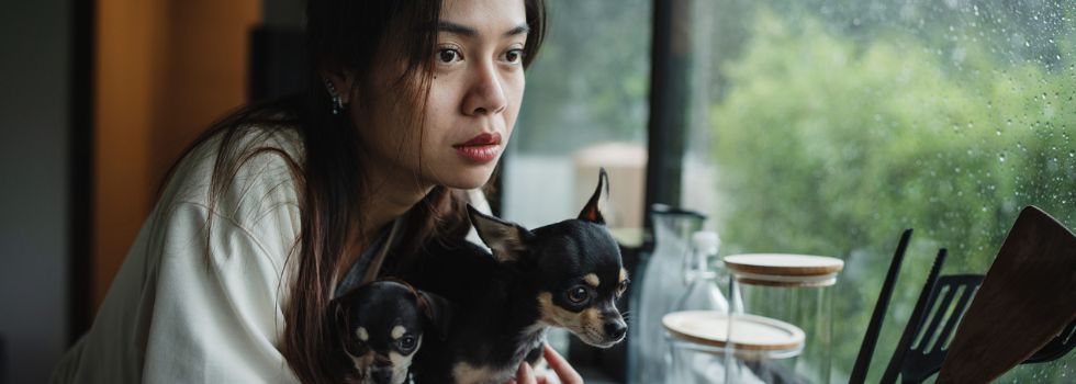 Cómo reclamar al seguro por daños meteorológicos Mujer asiática mirando la lluvia por la ventana con dos perros en brazos