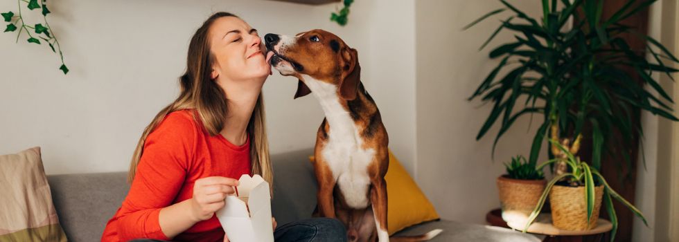Perro lamiendo la cara de su dueña, que come comida china en el sofá