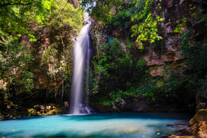 Arag-teaser-Costa Rica.png Arag-teaser-Costa Rica.png
