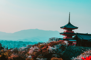 Arag-teaser-Japon.png Arag-teaser-Japon.png
