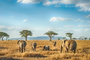 ARAG_Cinco destinos para viajar con niños_3 ARAG_Cinco destinos para viajar con niños_3