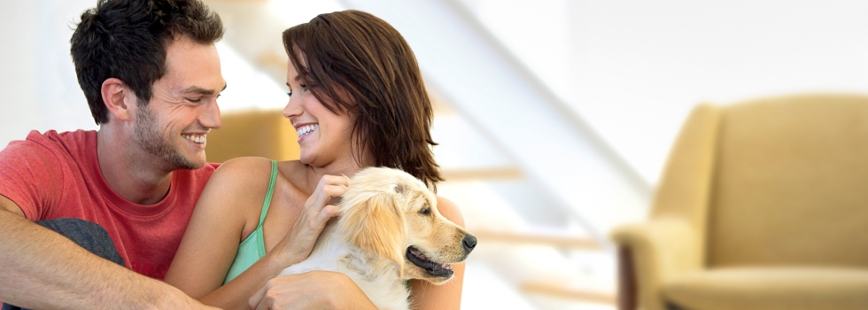 Guía para viajar con animales Guía para viajar con animales