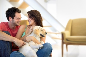 Guía para viajar con animales