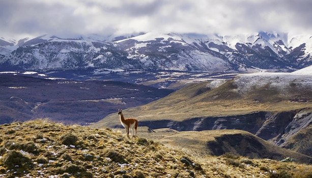 ARAG Desierto Patagonia