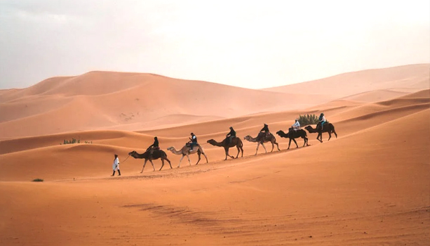 ARAG-Desierto-Sahara