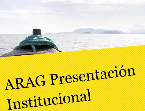 Presentación Institucional ARAG