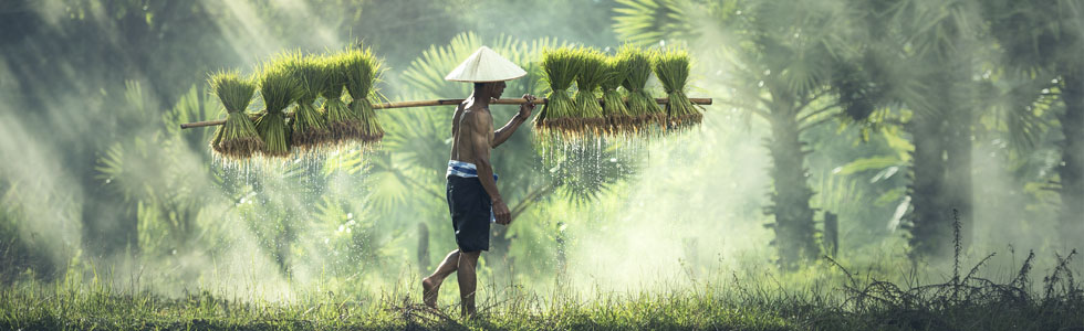 Seguro de viaje a Vietnam