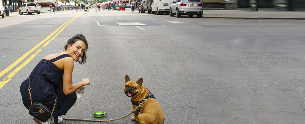 Seguro de viaje ARAG con mascotas Seguro de viaje ARAG con mascotas